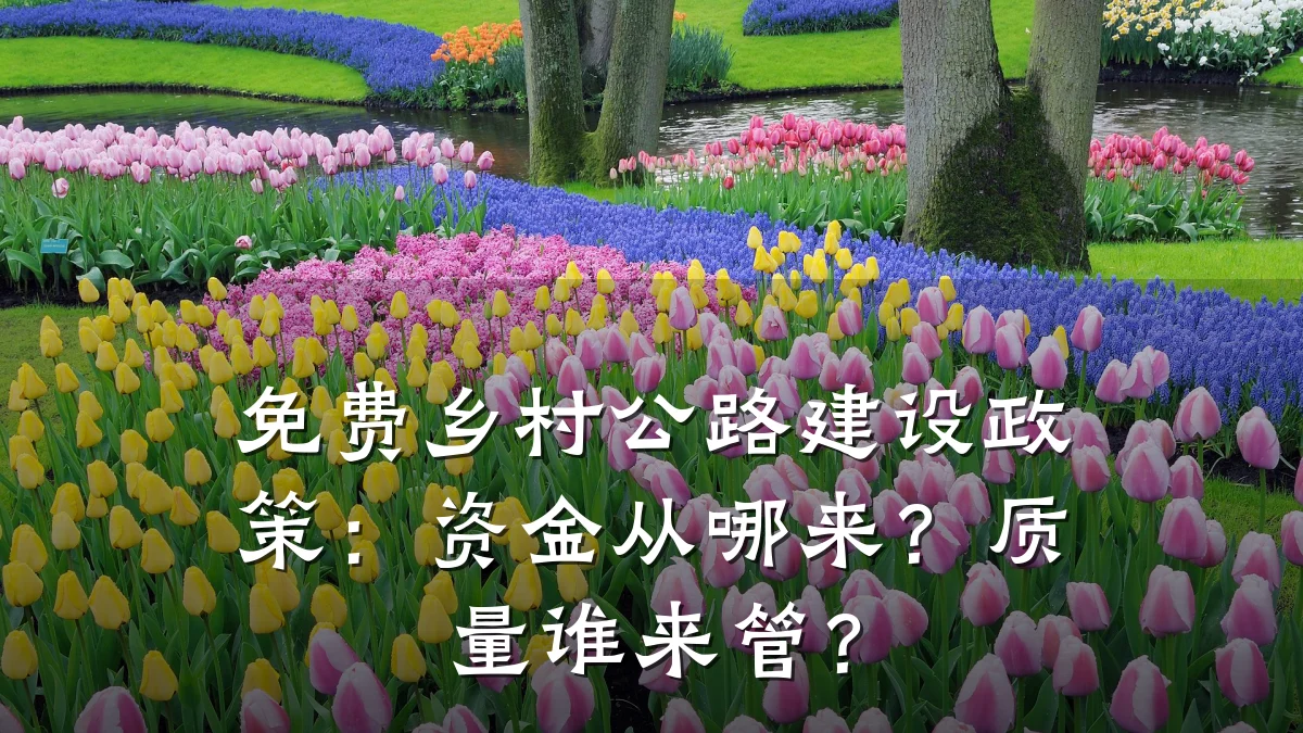 免费乡村公路建设政策:资金从哪来?质量谁来管?