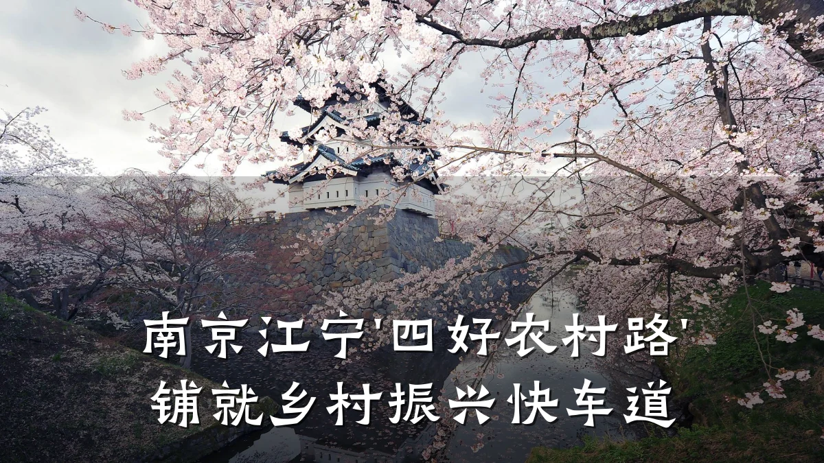 南京江宁'四好农村路'铺就乡村振兴快车道