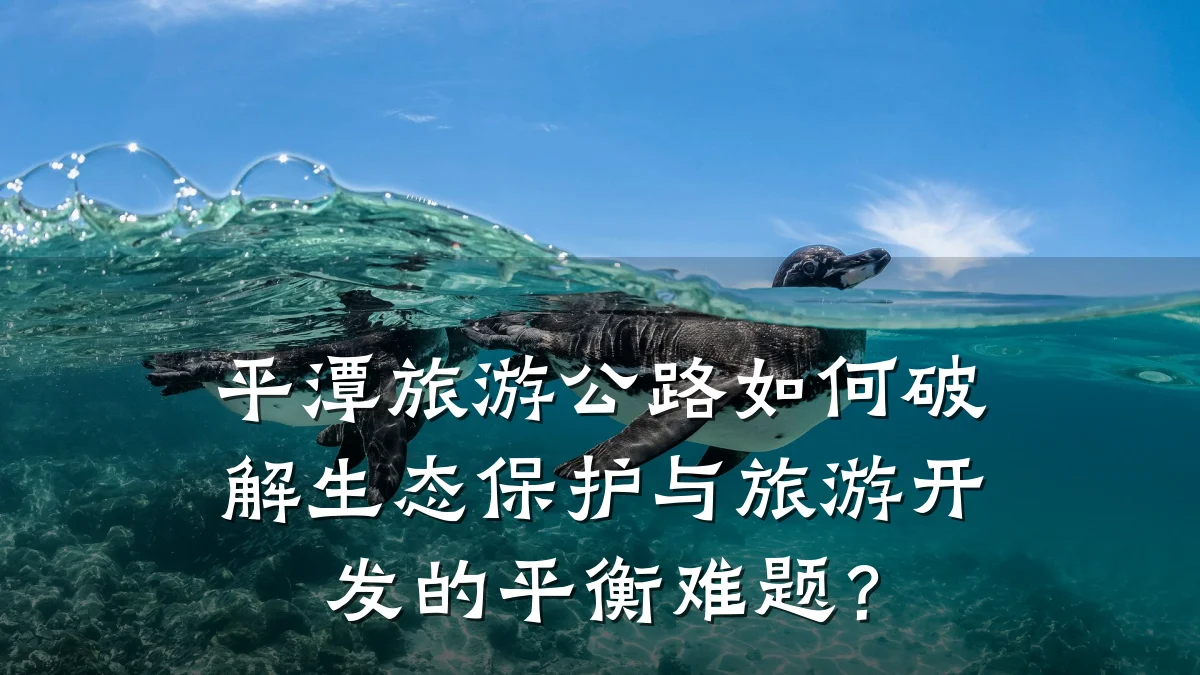 平潭旅游公路如何破解生态保护与旅游开发的平衡难题?