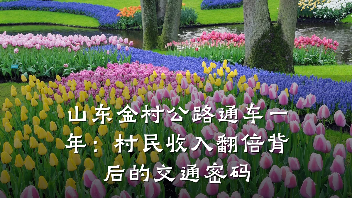 山东金村公路通车一年：村民收入翻倍背后的交通密码