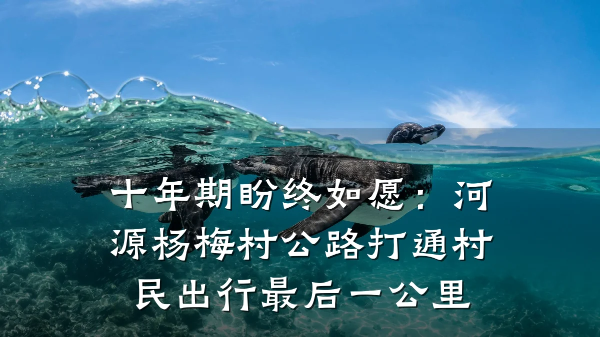 十年期盼终如愿:河源杨梅村公路打通村民出行最后一公里