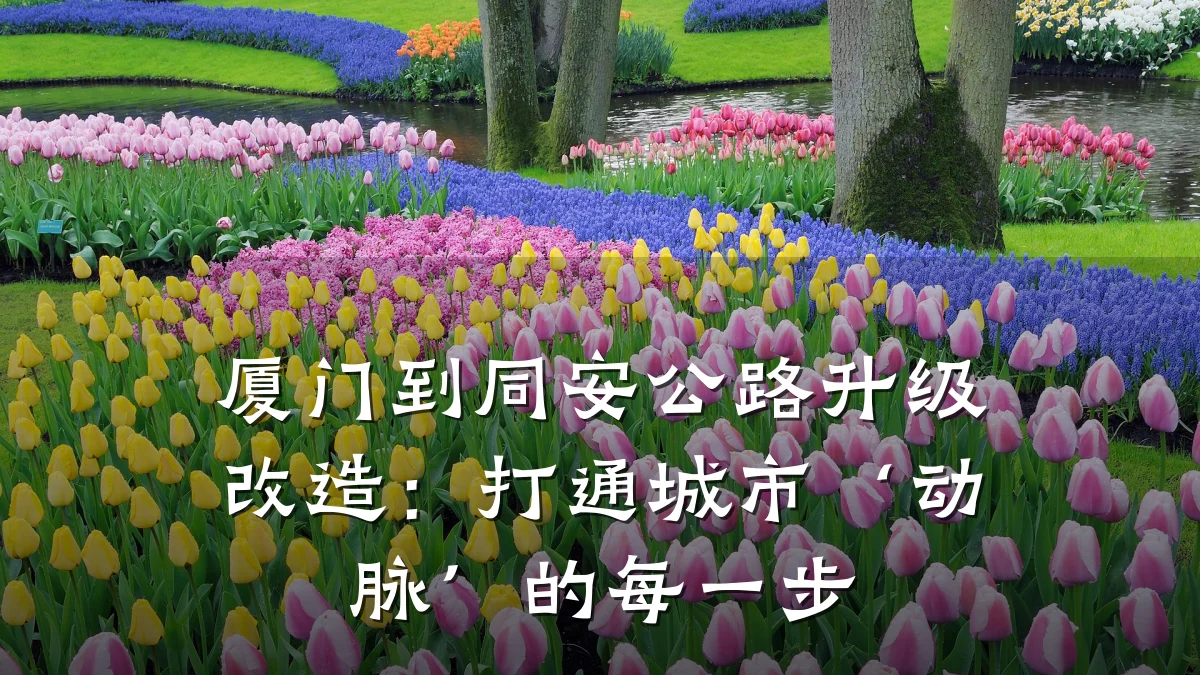 厦门到同安公路升级改造:打通城市‘动脉’的每一步