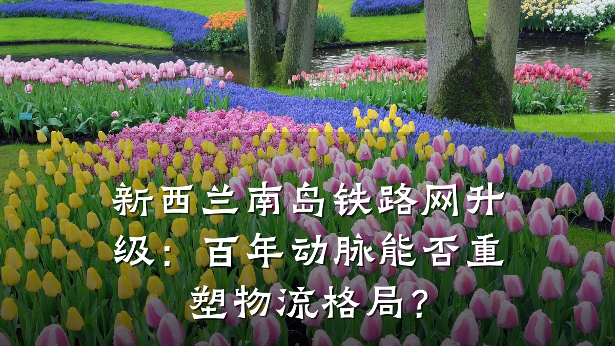 新西兰南岛铁路网升级:百年动脉能否重塑物流格局?