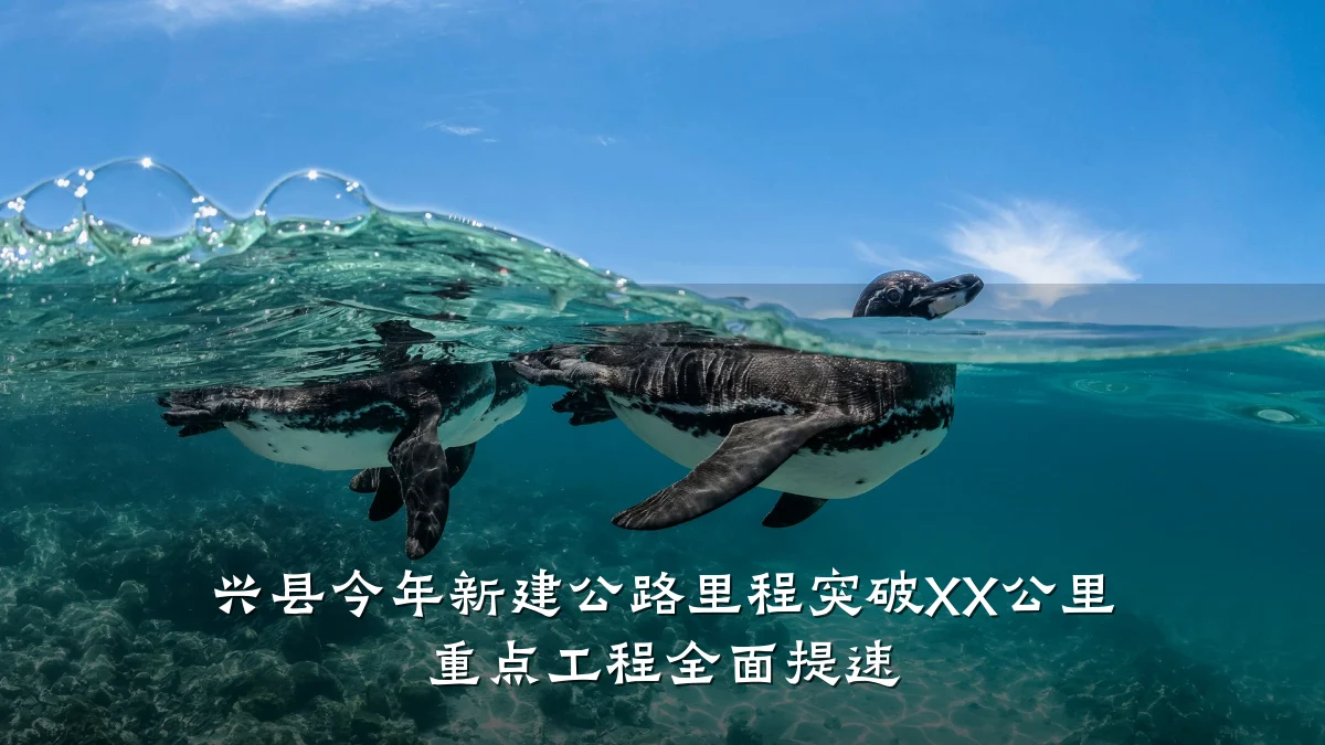 兴县今年新建公路里程突破XX公里 重点工程全面提速
