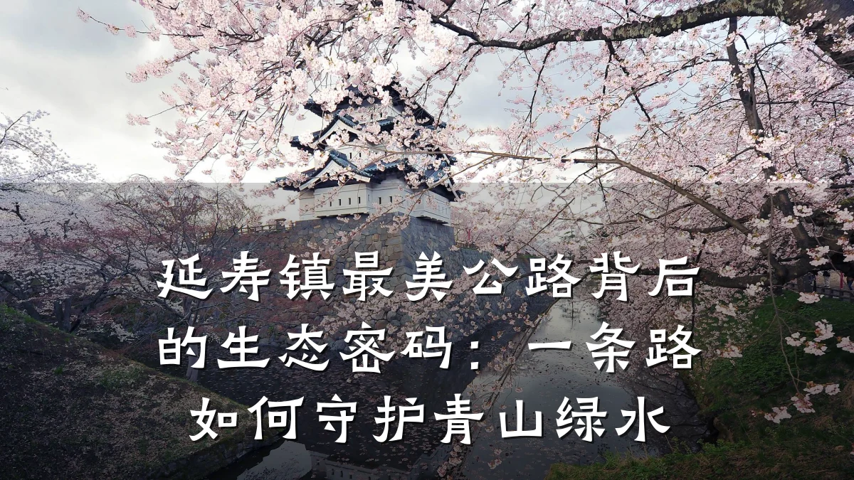 延寿镇最美公路背后的生态密码:一条路如何守护青山绿水