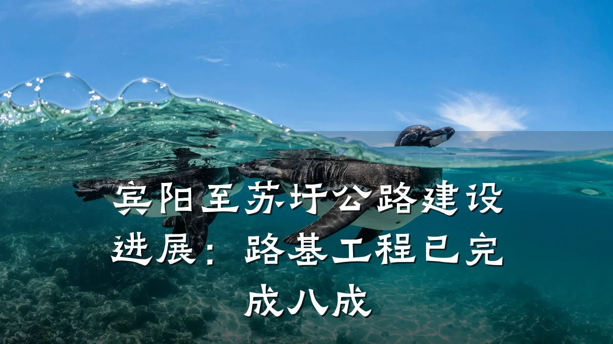 宾阳至苏圩公路建设进展：路基工程已完成八成