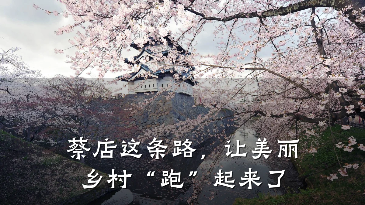 蔡店这条路,让美丽乡村“跑”起来了