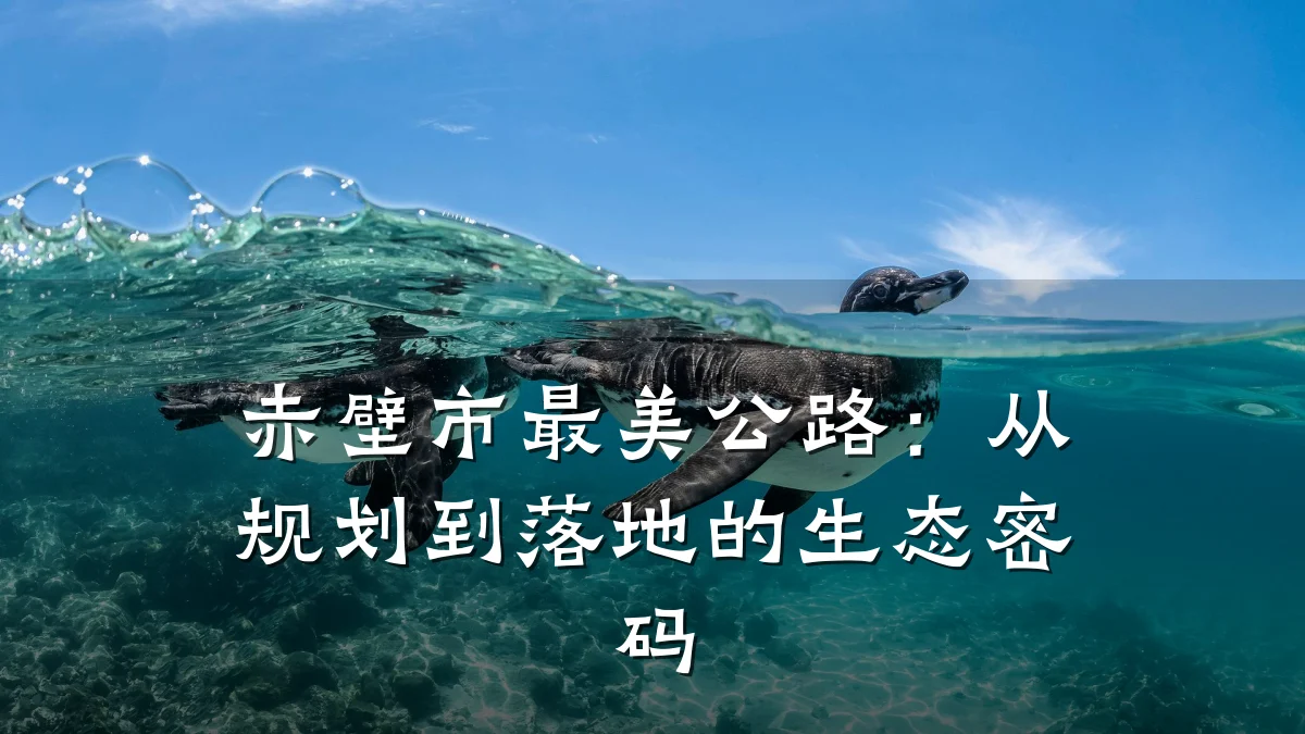 赤壁市最美公路:从规划到落地的生态密码