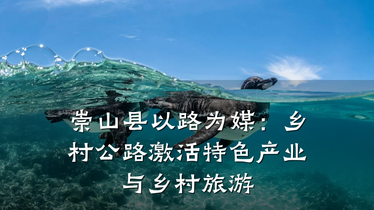 崇山县以路为媒:乡村公路激活特色产业与乡村旅游