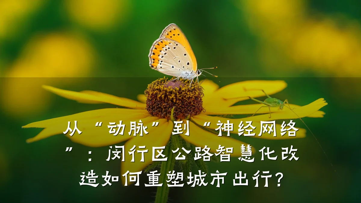 从“动脉”到“神经网络”:闵行区公路智慧化改造如何重塑城市出行?
