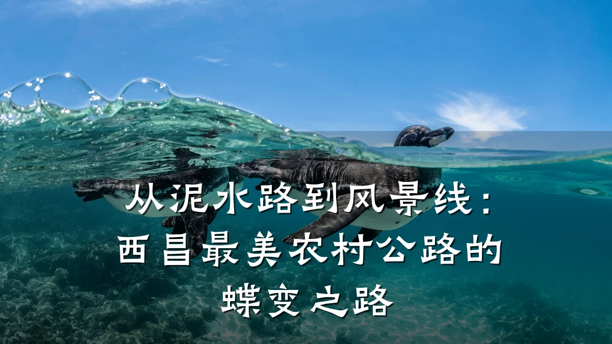 从泥水路到风景线:西昌最美农村公路的蝶变之路