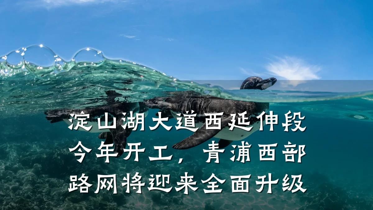 淀山湖大道西延伸段今年开工,青浦西部路网将迎来全面升级