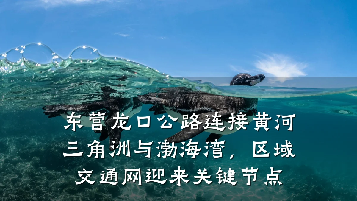 东营龙口公路连接黄河三角洲与渤海湾,区域交通网迎来关键节点
