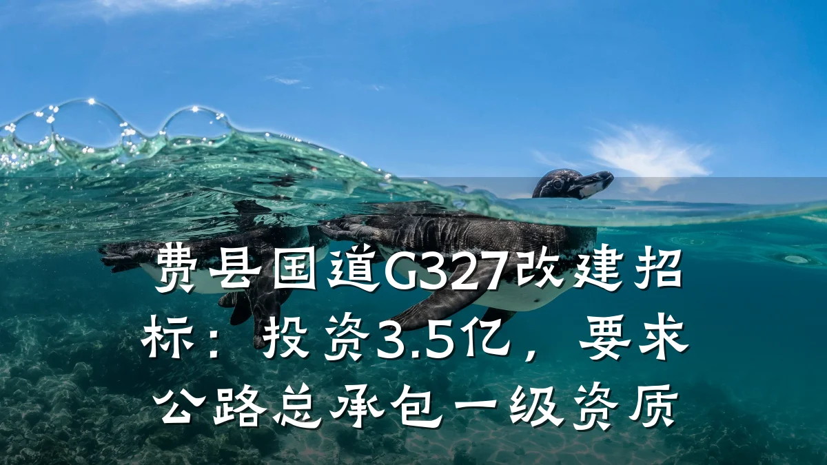 费县国道G327改建招标:投资3.5亿,要求公路总承包一级资质