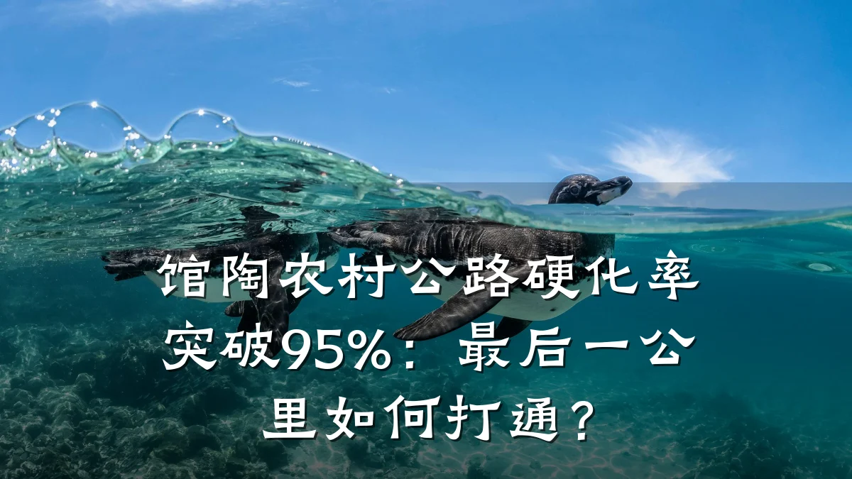 馆陶农村公路硬化率突破95%:最后一公里如何打通?