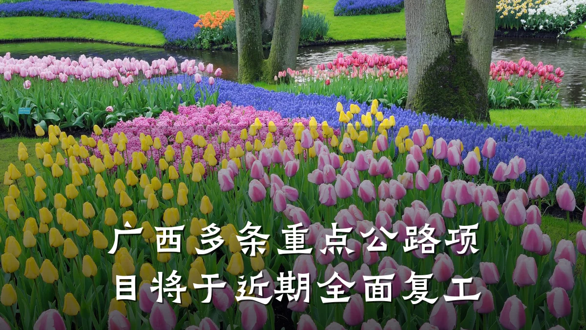广西多条重点公路项目将于近期全面复工