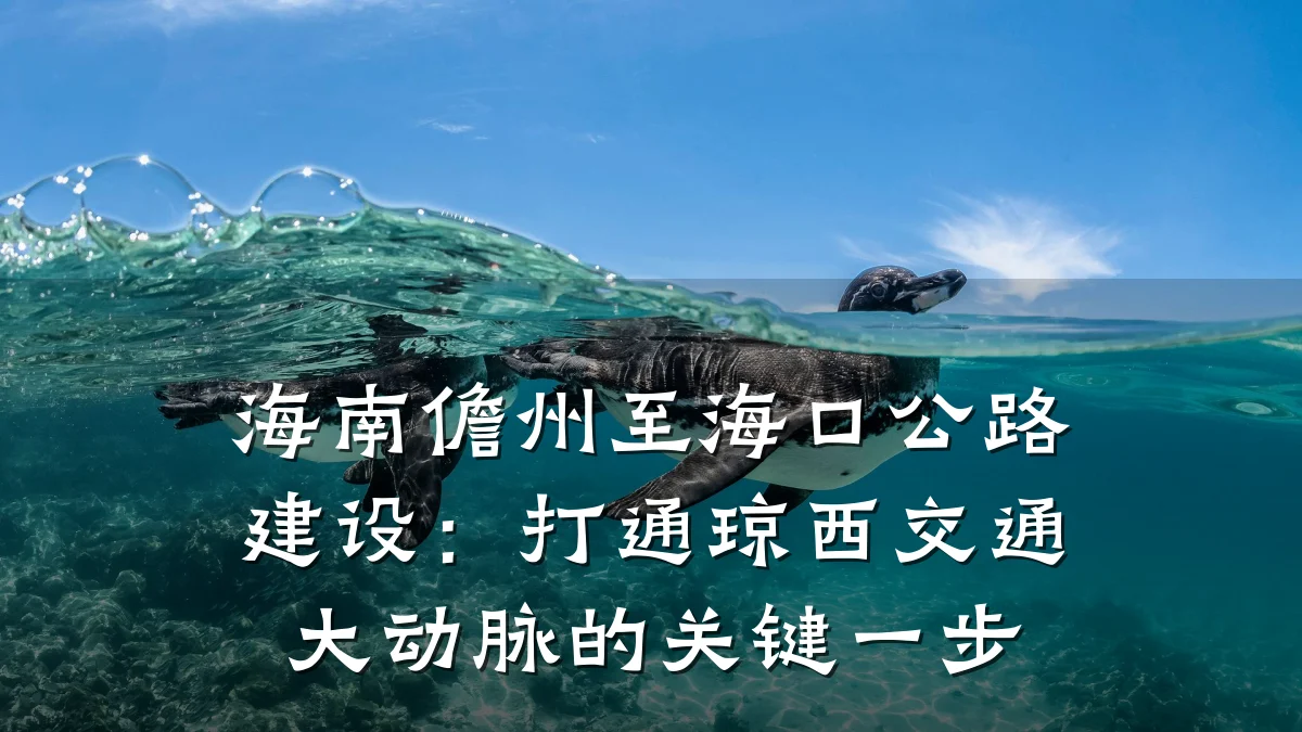 海南儋州至海口公路建设:打通琼西交通大动脉的关键一步