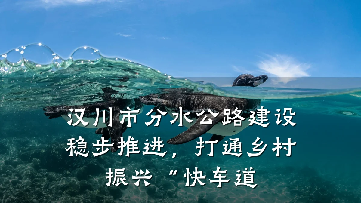 汉川市分水公路建设稳步推进,打通乡村振兴“快车道