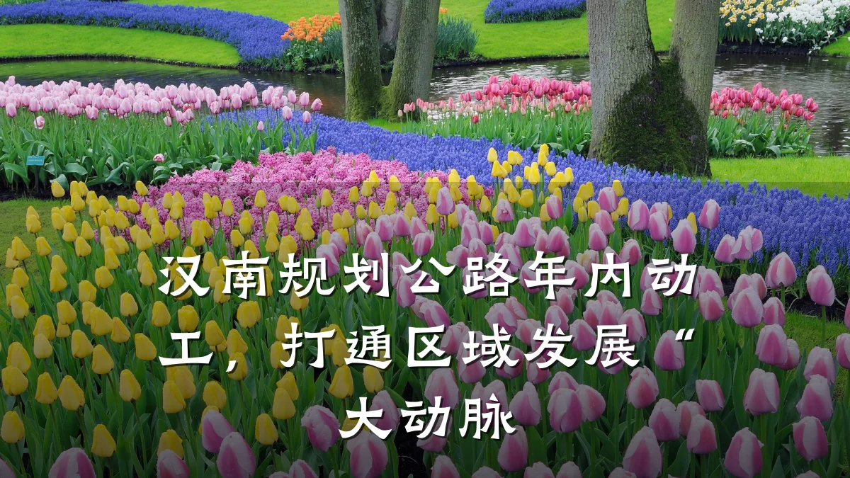 汉南规划公路年内动工,打通区域发展“大动脉