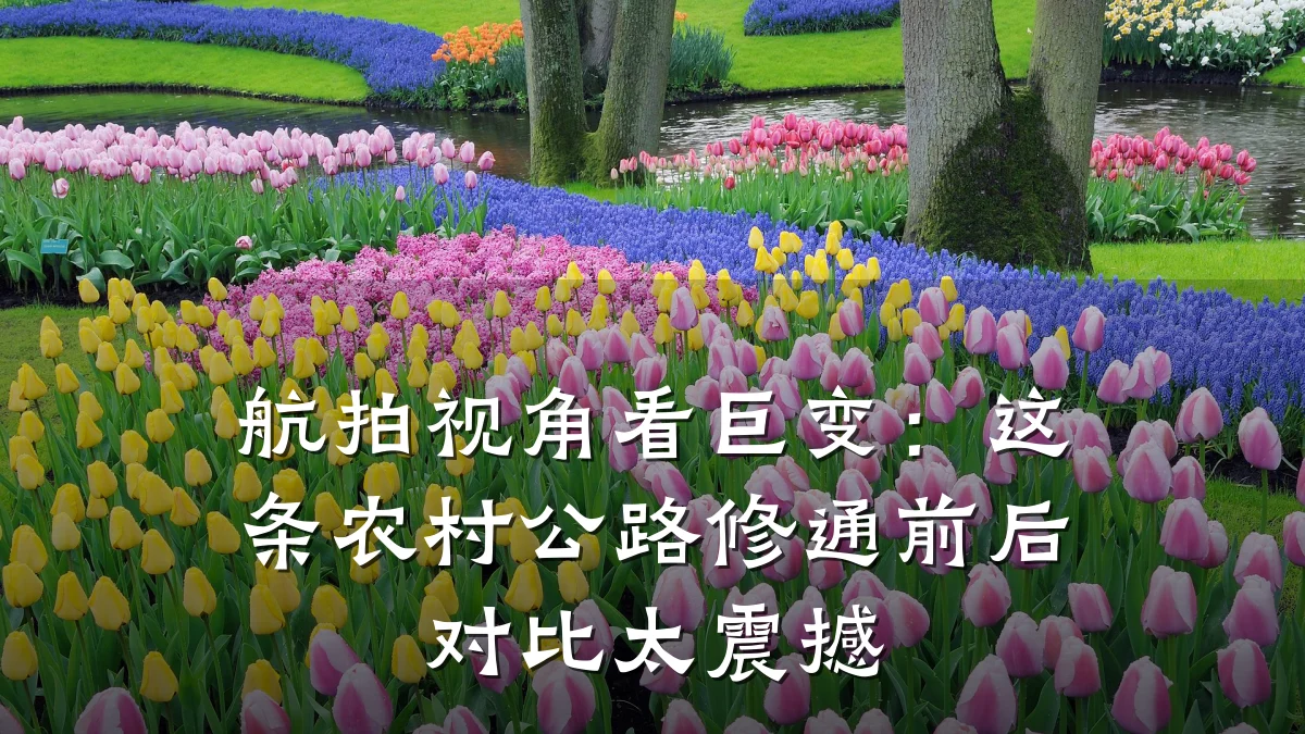 航拍视角看巨变:这条农村公路修通前后对比太震撼