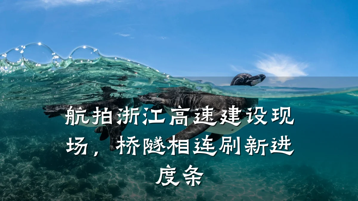 航拍浙江高速建设现场,桥隧相连刷新进度条