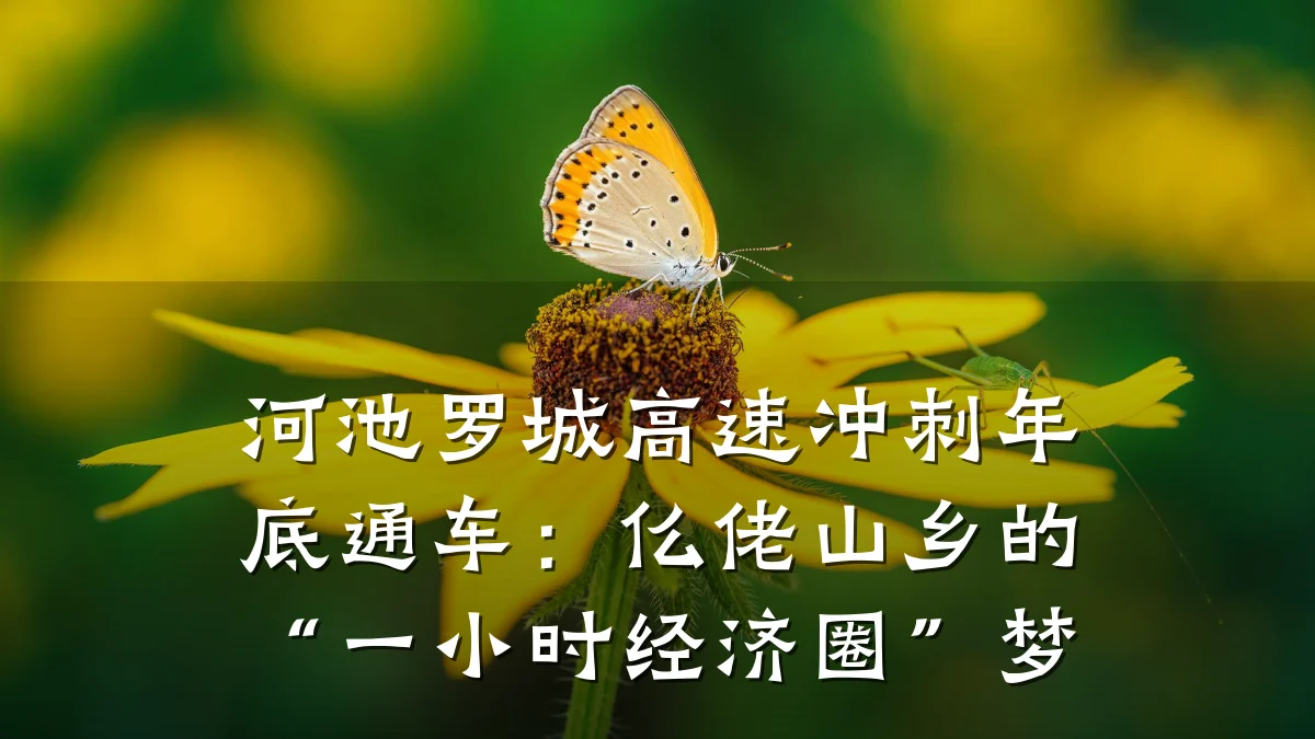 河池罗城高速冲刺年底通车:仫佬山乡的“一小时经济圈”梦