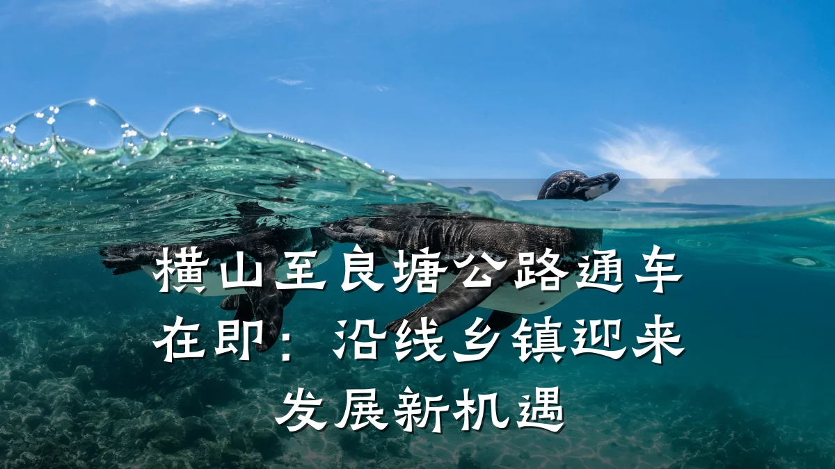 横山至良塘公路通车在即:沿线乡镇迎来发展新机遇