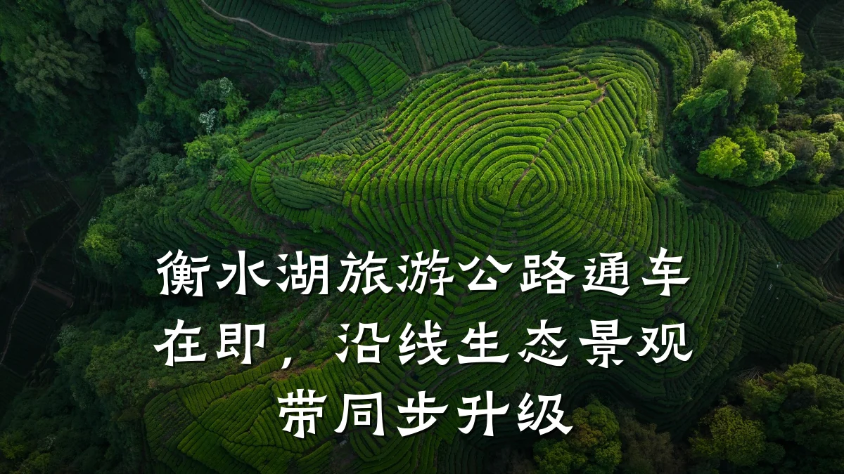 衡水湖旅游公路通车在即,沿线生态景观带同步升级