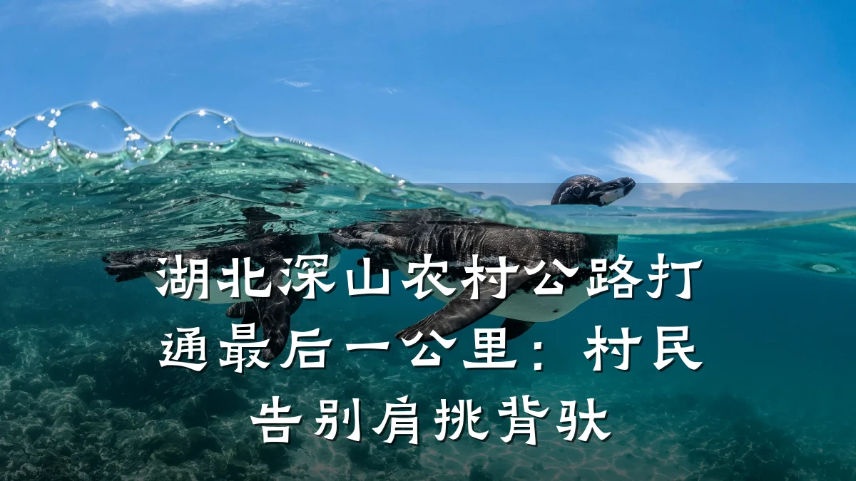 湖北深山农村公路打通最后一公里:村民告别肩挑背驮