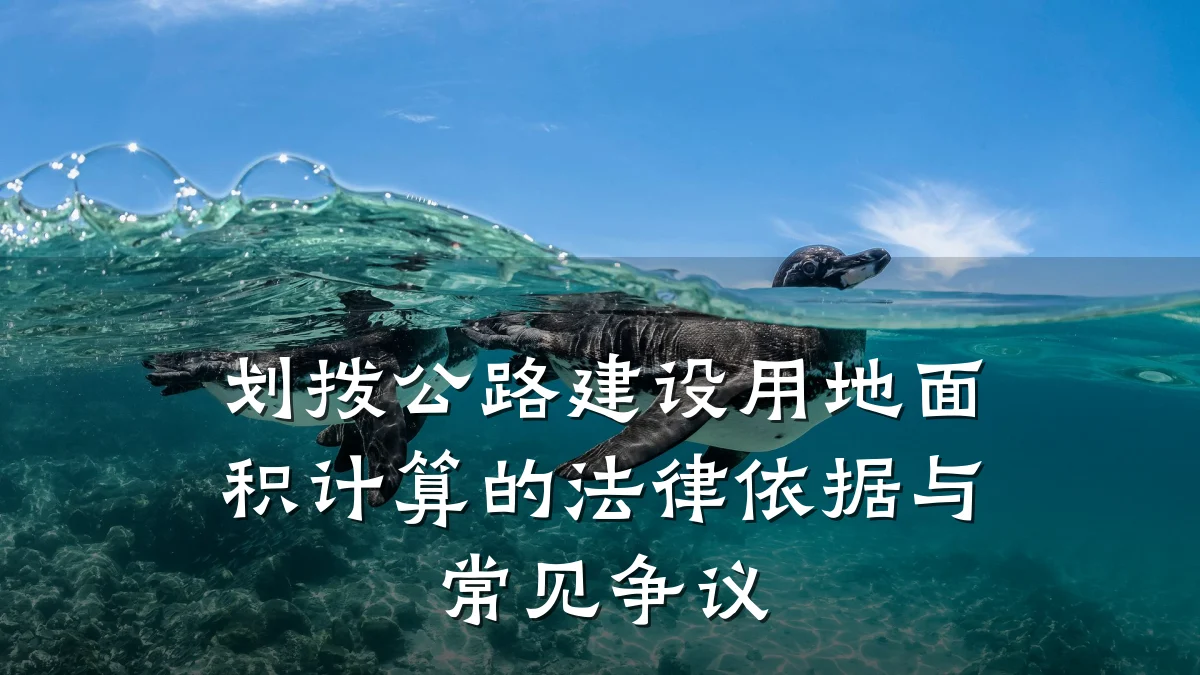 划拨公路建设用地面积计算的法律依据与常见争议