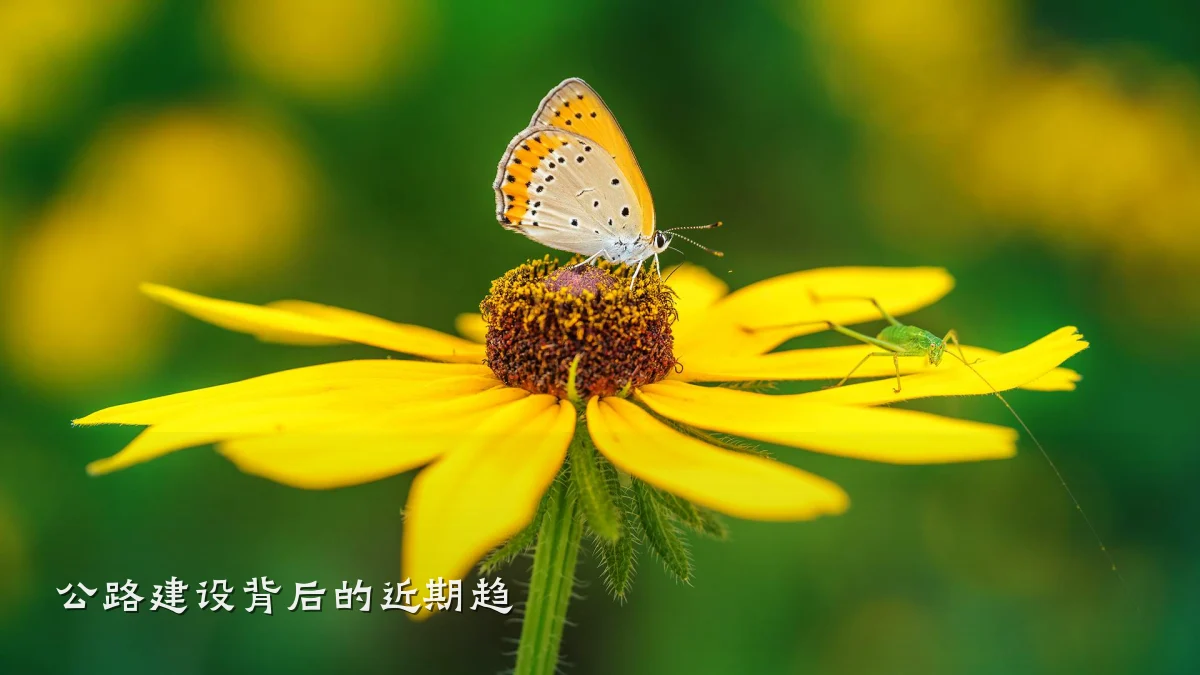 公路建设背后的近期趋
