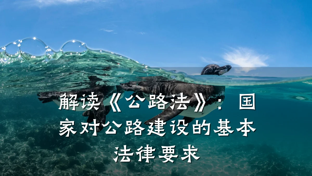 解读《公路法》:国家对公路建设的基本法律要求