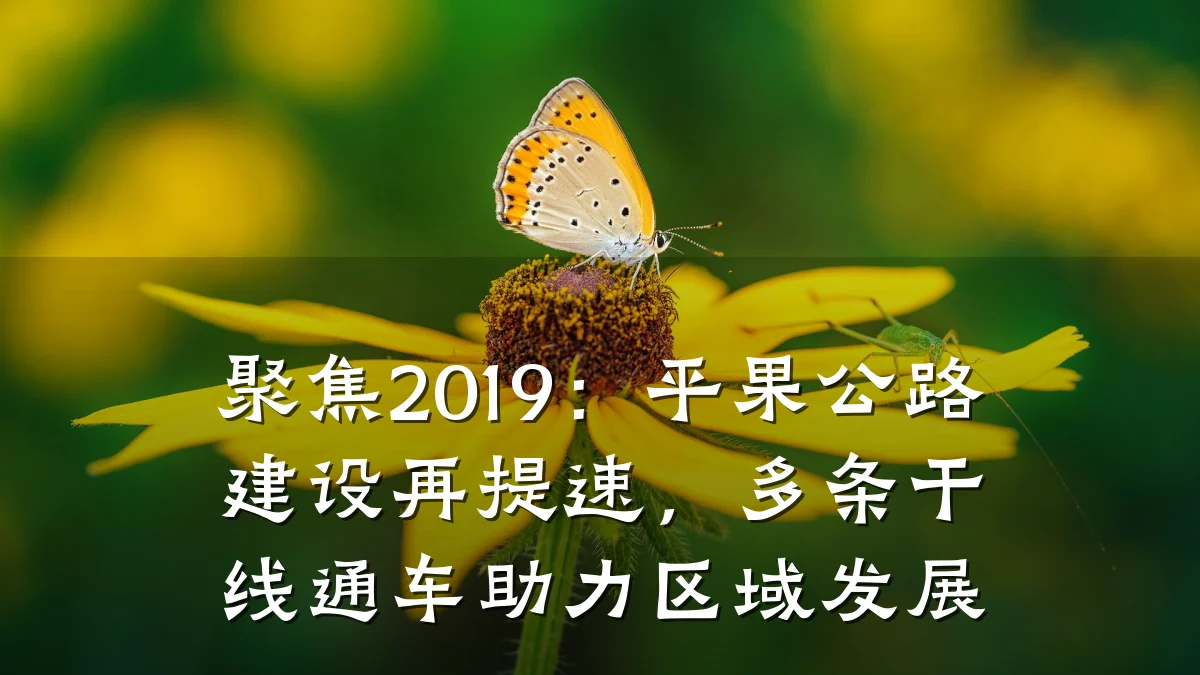 聚焦2019:平果公路建设再提速,多条干线通车助力区域发展