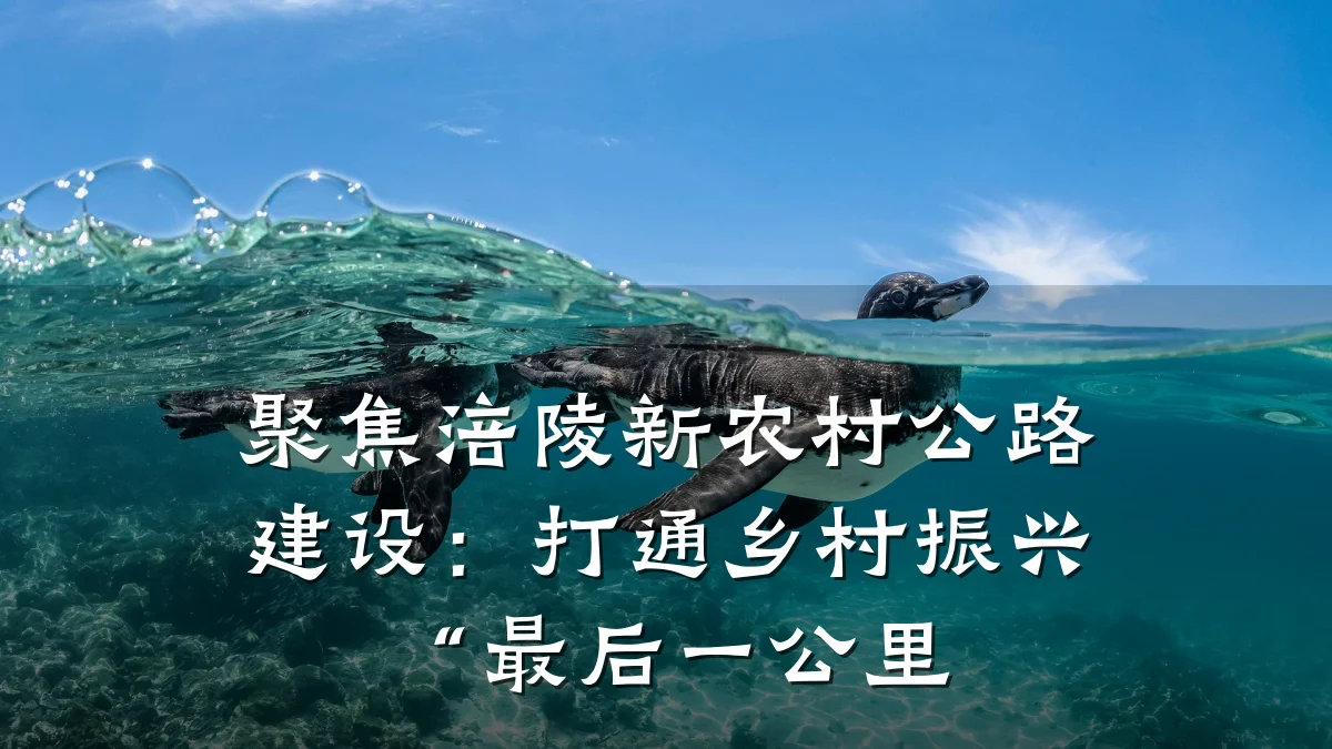 聚焦涪陵新农村公路建设:打通乡村振兴“最后一公里