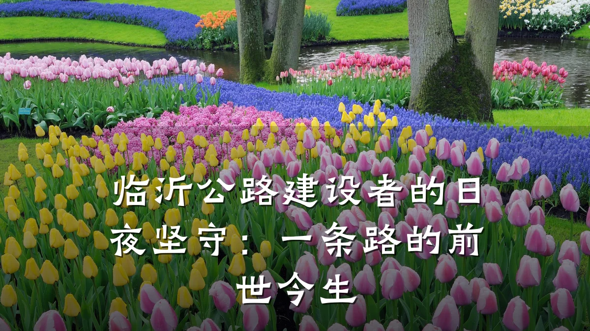 临沂公路建设者的日夜坚守：一条路的前世今生