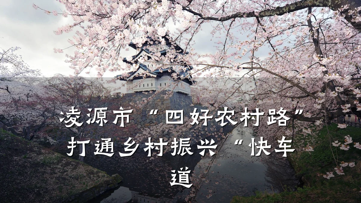 凌源市“四好农村路”打通乡村振兴“快车道