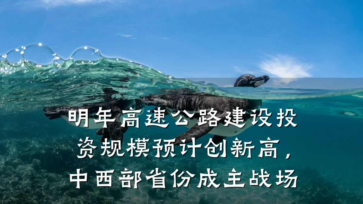 明年高速公路建设投资规模预计创新高,中西部省份成主战场