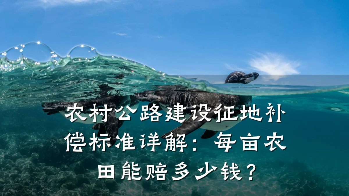 农村公路建设征地补偿标准详解:每亩农田能赔多少钱?