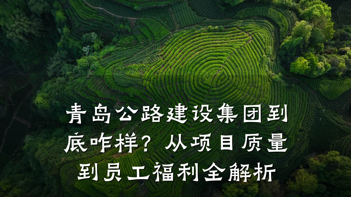 青岛公路建设集团到底咋样?从项目质量到员工福利全解析