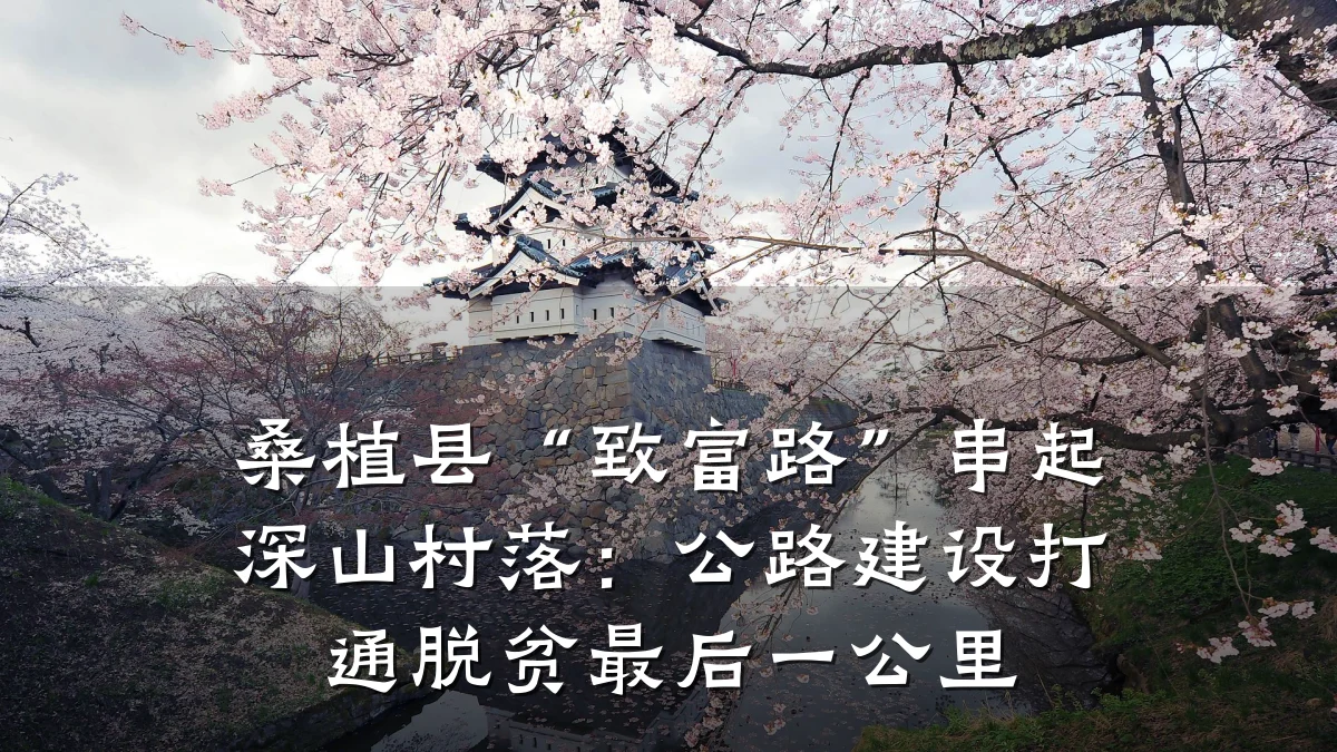 桑植县“致富路”串起深山村落:公路建设打通脱贫最后一公里