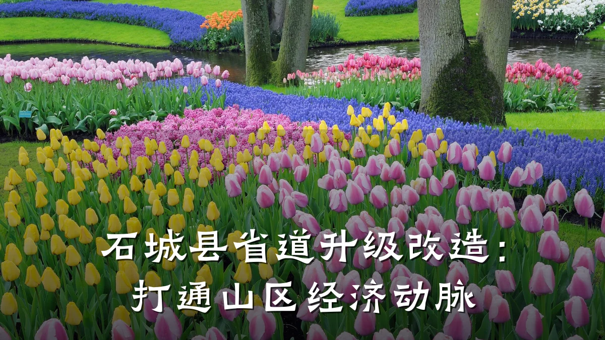 石城县省道升级改造:打通山区经济动脉