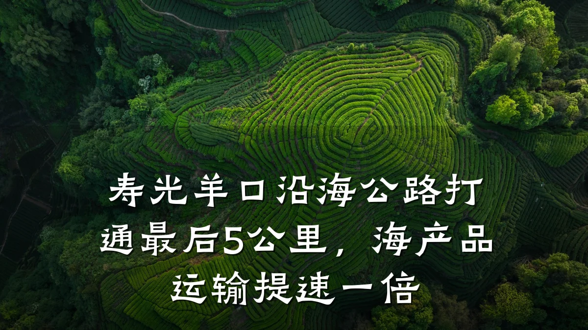 寿光羊口沿海公路打通最后5公里,海产品运输提速一倍