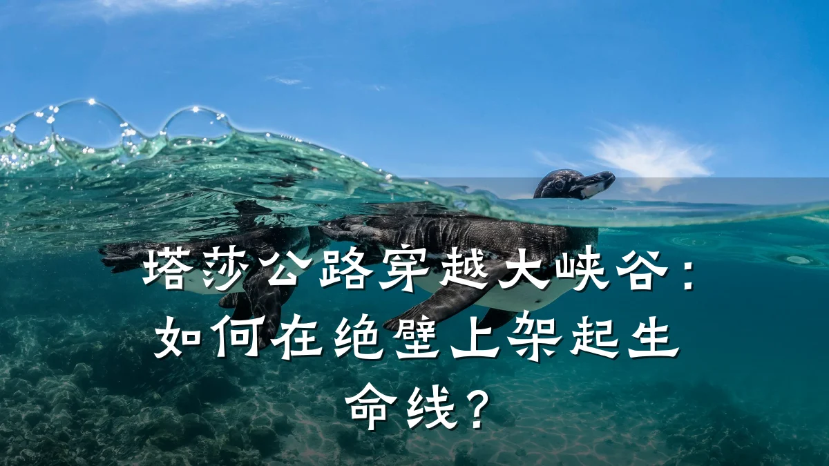塔莎公路穿越大峡谷:如何在绝壁上架起生命线?