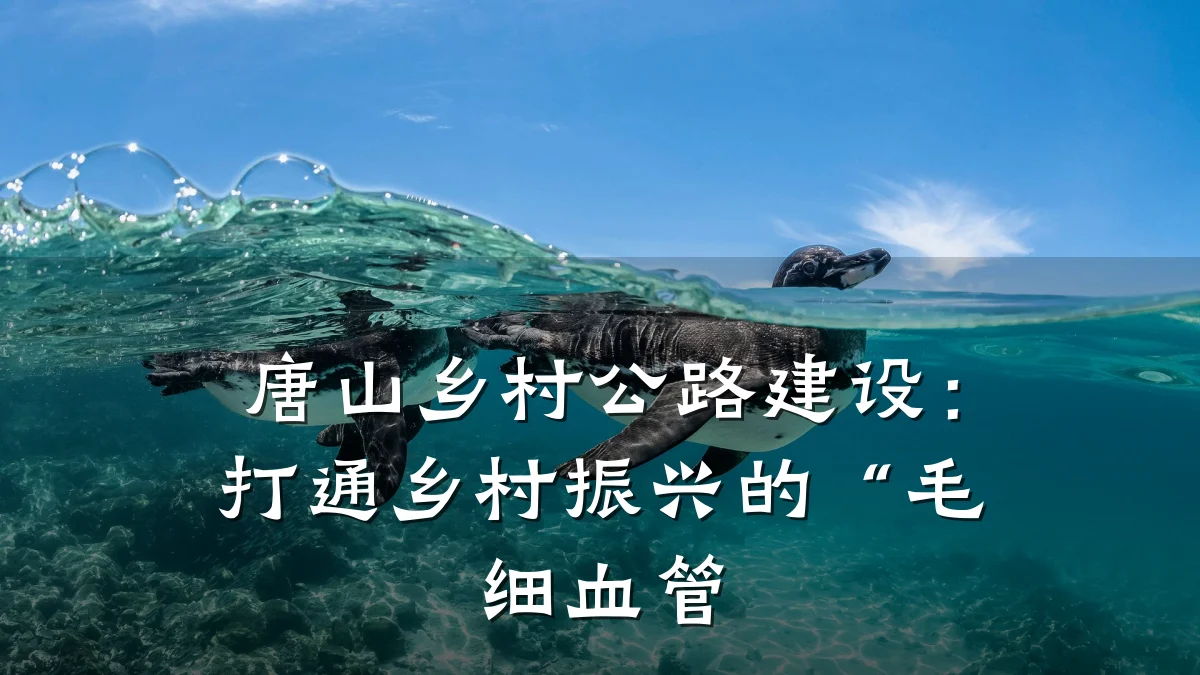 唐山乡村公路建设:打通乡村振兴的“毛细血管