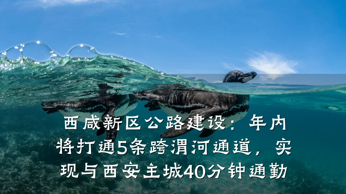 西咸新区公路建设：年内将打通5条跨渭河通道，实现与西安主城40分钟通勤