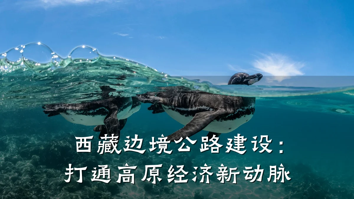 西藏边境公路建设：打通高原经济新动脉