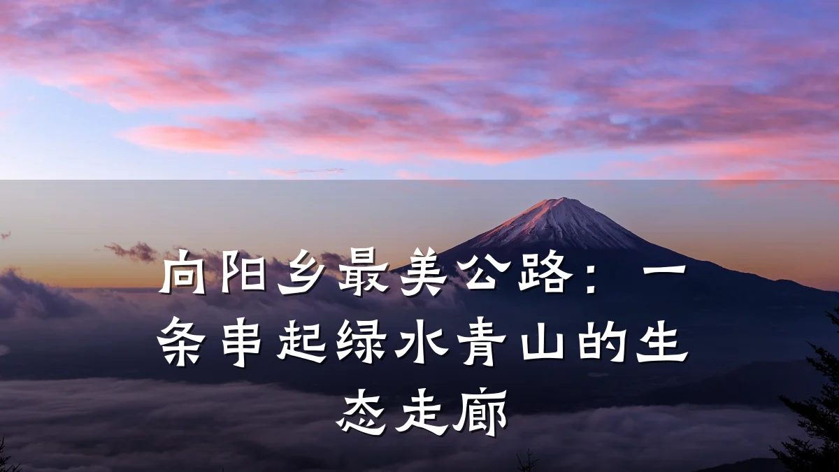 向阳乡最美公路：一条串起绿水青山的生态走廊