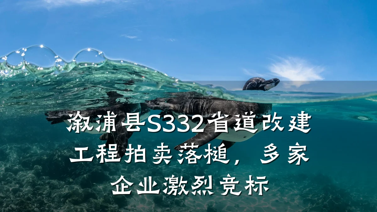 溆浦县S332省道改建工程拍卖落槌，多家企业激烈竞标