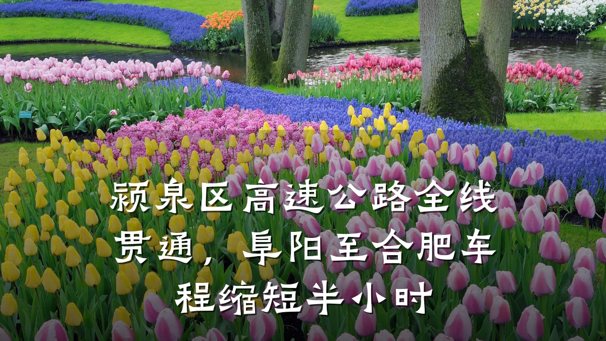 颍泉区高速公路全线贯通,阜阳至合肥车程缩短半小时