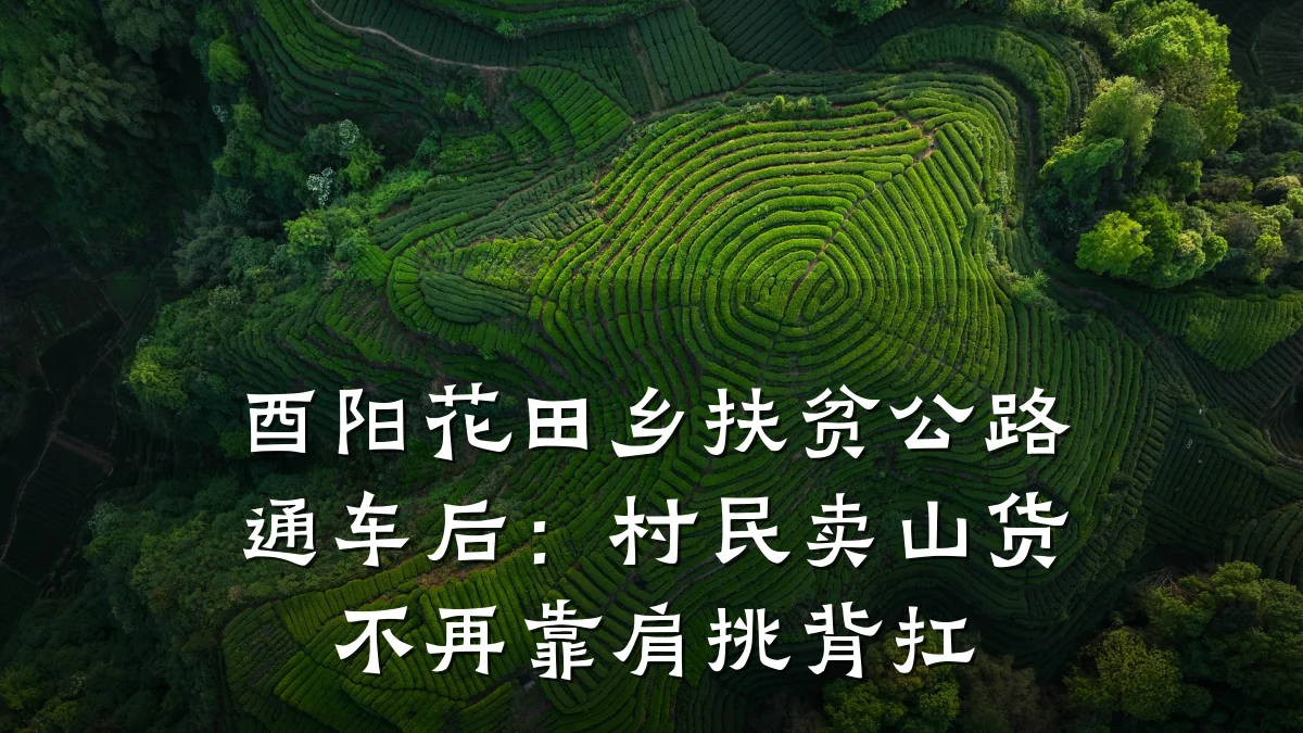 酉阳花田乡扶贫公路通车后:村民卖山货不再靠肩挑背扛
